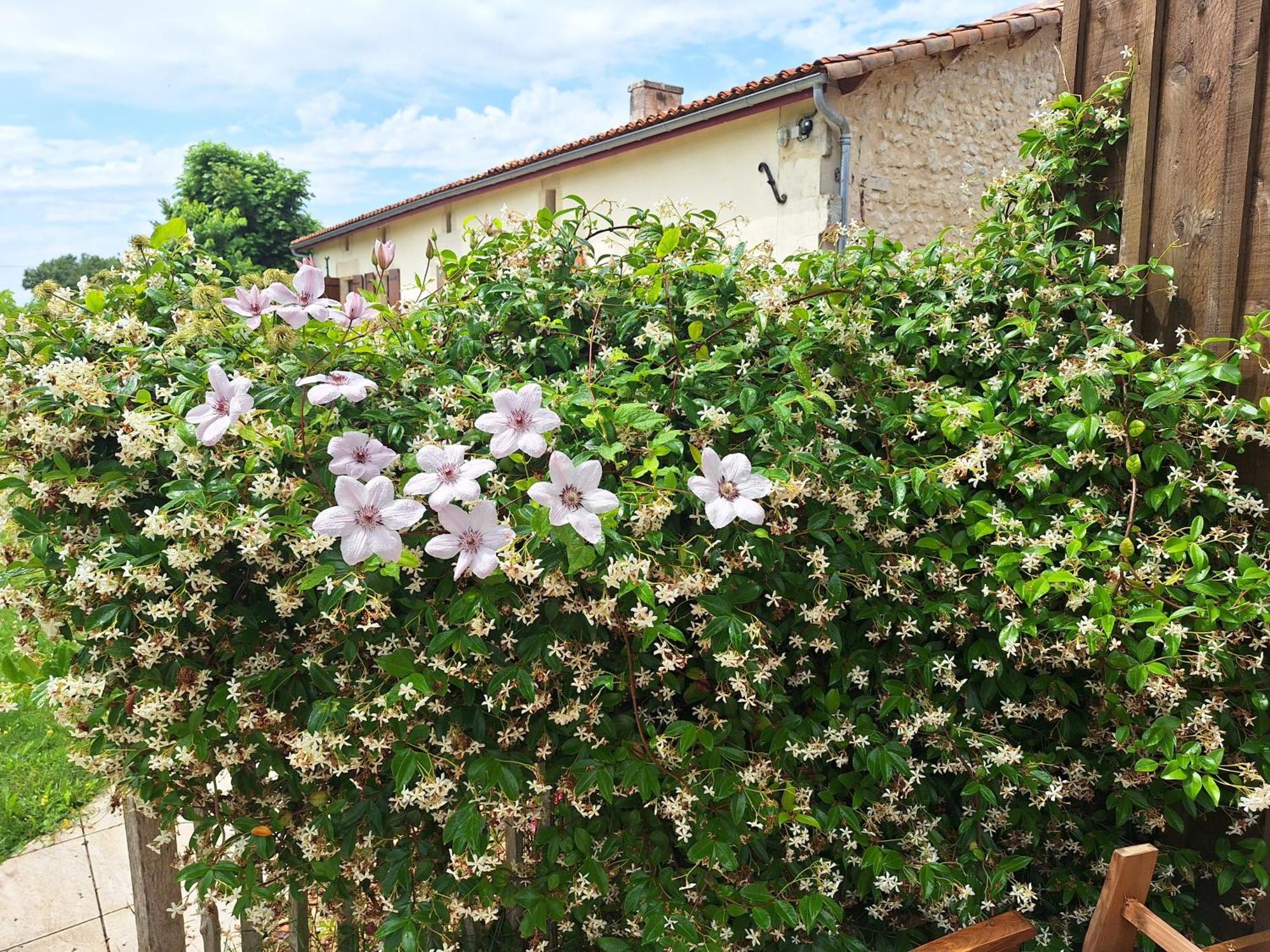 Gite Cosy Grand Confort Dans Un Ecrin De Verdure Agudelle Eksteriør billede