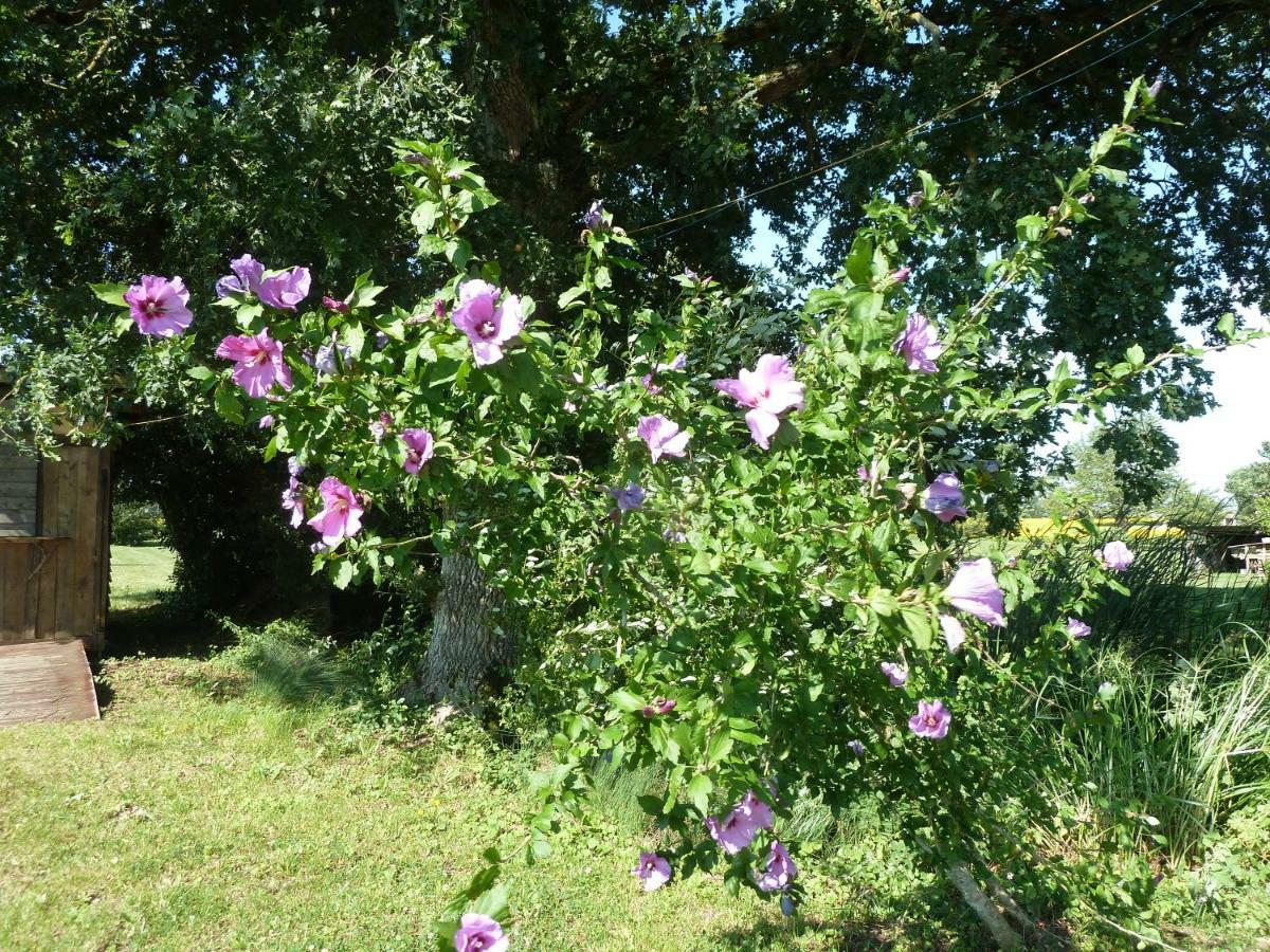 Gite Cosy Grand Confort Dans Un Ecrin De Verdure Agudelle Eksteriør billede
